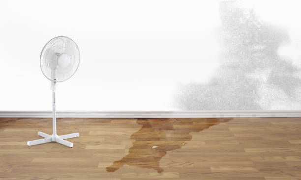 Best Professional water damage repair  in Orange, CA