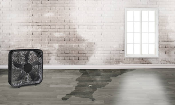 Best Water damage restoration near me  in Orange, CA