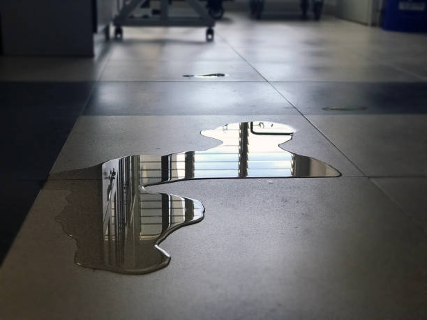 Best Commercial water damage restoration  in Orange, CA