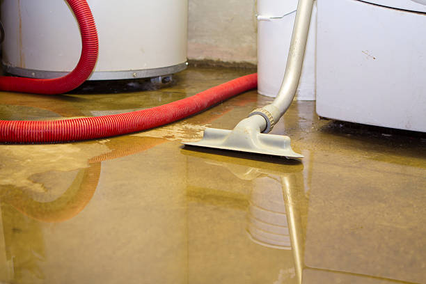 Water damage restoration mold remediation in Orange, CA