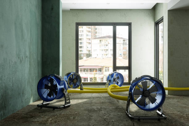 Best Water damage cleanup near me  in Orange, CA