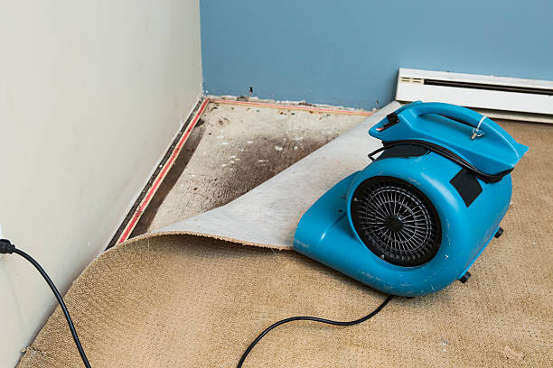 Best Flooded house restoration  in Orange, CA